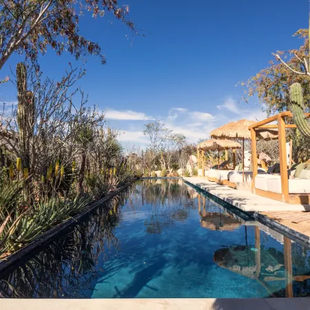 El Perdido Desert Dream- Todos Santos Adults Only