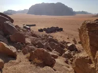 Wadi Rum Oasis