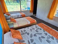 Canopy Tours Iquitos Hotels near Bora Indians
