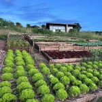 Umva Muhazi Hotels in 