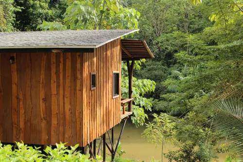 Natural Drake Bay Hotel Boutique Hotels in Bahia drake