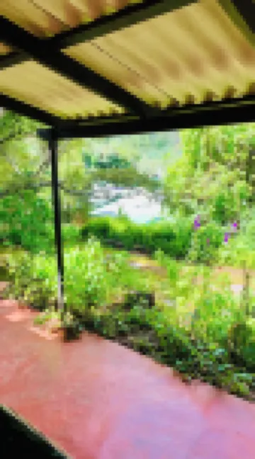 松樹旅館酒店 尼揚加酒店