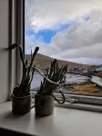 Guesthouse Hugo