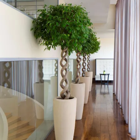 Radisson Blu Hotel, Addis Ababa