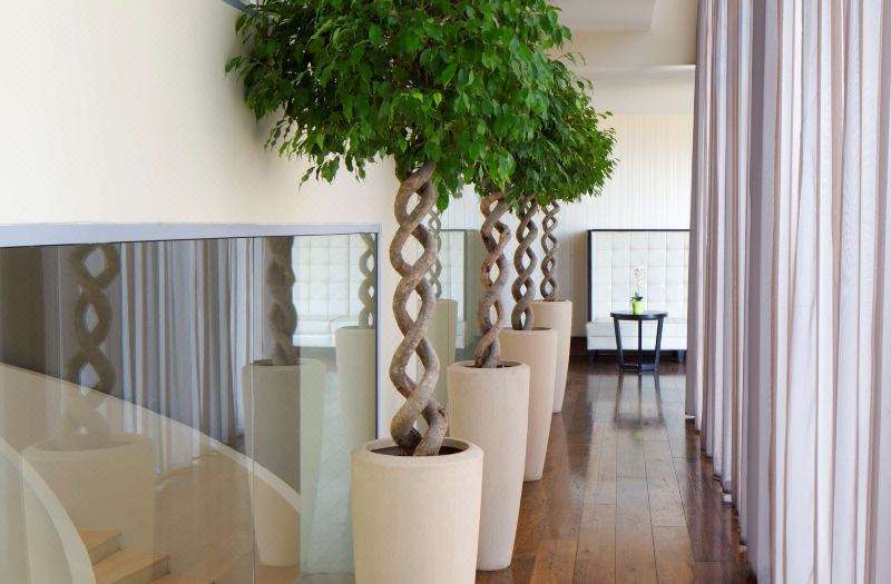 Radisson Blu Hotel, Addis Ababa photo 2