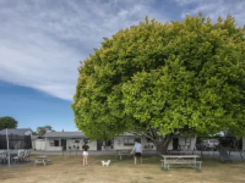 U Studios Masterton マスタートンのホテル