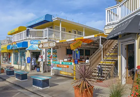 Hot Tub, Ocean Views and Game Room - Stunning Coastal Haven Отели рядом с достопримечательностью «Заказник Торрей Пайнс Стейт»