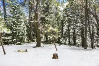 Inside Out Cottage Nature|Cozy|Romantic Hotels in Lake Arrowhead