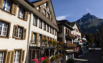 Hotel Engelberg "mein Trail Hotel"