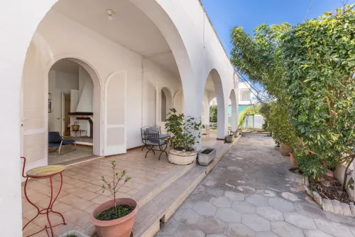 3821 Vbr - Mono Rosa by Barbarhouse