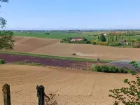 Le Jardin des Cèdres Hotels in Lavaur