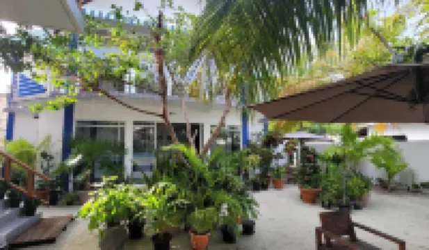 棕櫚公寓 拉斯杜島酒店