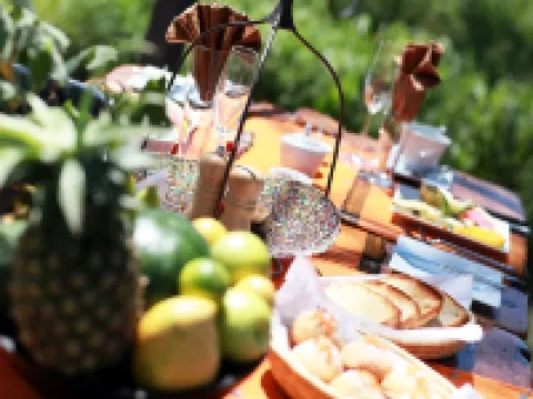 非洲亞桑加豪華酒店 塞倫蓋蒂酒店