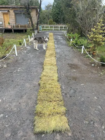 Cabañas Mi Refugio Puerto Varas