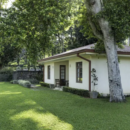 Olive Bungalow