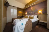 SPA VILNIUS Druskininkai Hotels in 