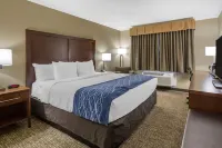 Comfort Inn Sunnyvale - Silicon Valley Hotels in Sunnyvale