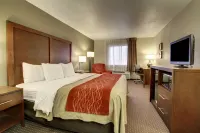 Quality Inn Waverly Hotels in Waverly