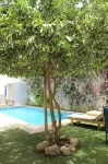 Casa Mara Dakar - Pools