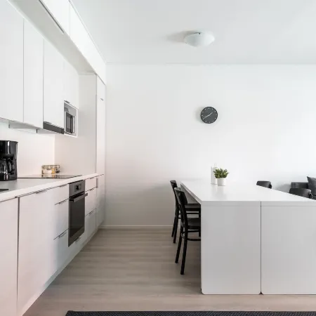 Hiisi Homes Turku Fleminginkatu
