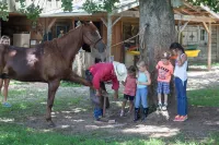 Seventy-Four Ranch Hotels in Pickens County