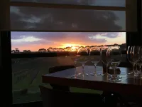 Hotel California Road at Inkwell Wines - Homestays