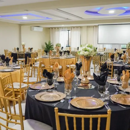 Golf View Hotel Отели в г. Мандевилл