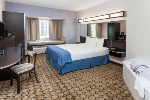 Microtel Inn & Suites by Wyndham Elkhart Hotels in Elkhart