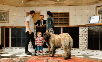 Hotel Llop Gris