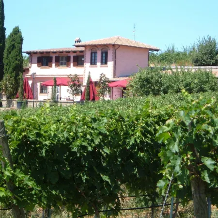 Azienda Agricola Sinisi