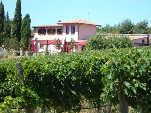 Azienda Agricola Sinisi - Wifi