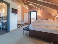 Rinderberg Swiss Alpine Lodge Hotels in Zweisimmen