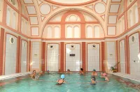 Ensana Pro Patria Hotel di Piestany