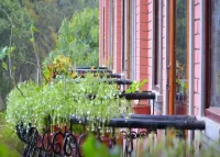 Kalaw Princess Hotel