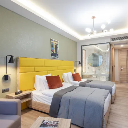 Rox Hotel Ankara Отели рядом с достопримечательностью «Малтепе»