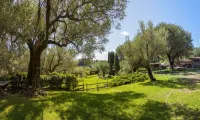 Pie' d'Ulivo Hotel in zona Faro di Scario
