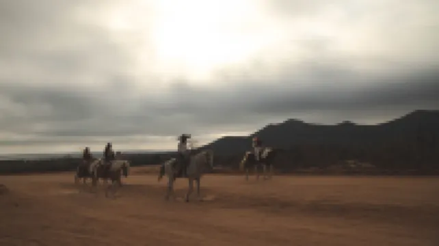 瑪雅猴子洛斯卡沃斯-僅限大人 洛斯卡沃斯酒店