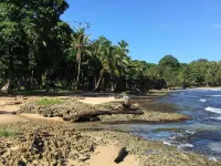 Villas del Caribe فنادق في كوكليس