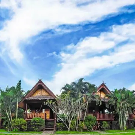 Pai Homey