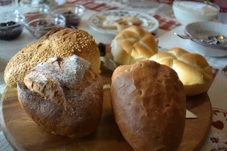 B&B la Tana Dell'Orso - Die Bärenhöhle