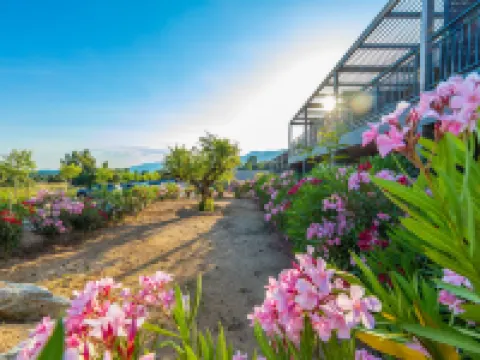 Résidence Pierre & Vacances Premium les Terrasses d'Arsella Hoteles en Lecci