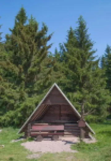 Vergissmeinnicht