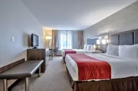 Comfort Inn & Suites South - 2-Star