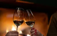 Stupnički Dvori Winery Hotel - bar