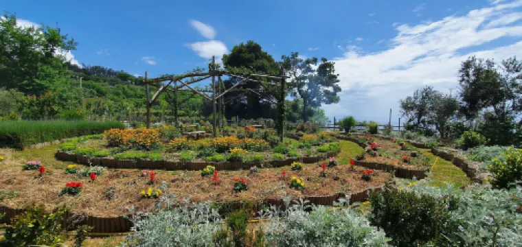 Agriturismo Fattoria Terranova