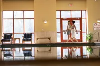 Little Creek Casino Resort - Pools