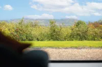 Beautiful Barn Conversion - Orchard Escape for 12! Hotels in Evesham