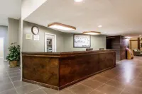 Studio Apartments