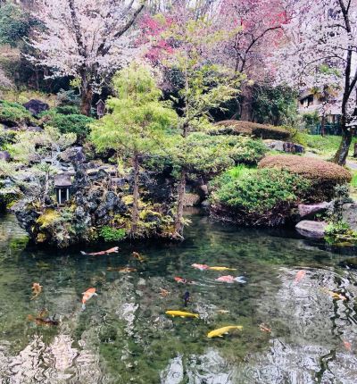 ホテル周辺 瀧澤禅寺の写真