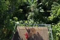 Chez Georges Các khách sạn gần Museu de Arte Moderna